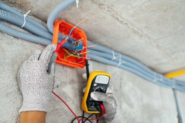 Best Affordable Electrician  in Pamplico, SC